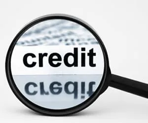 BDC Credit Reporter icon