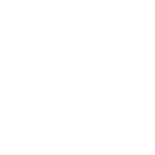 Longevity Premium icon