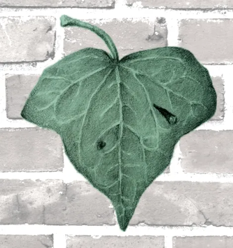 The Nature We Make icon