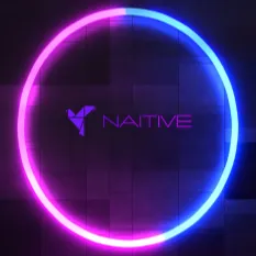 NAITIVE AI Consutling Agency icon