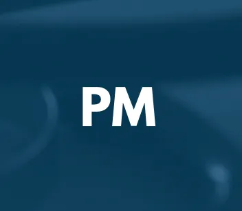 Pamella Miranda icon