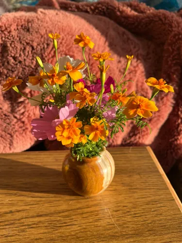 between stories icon