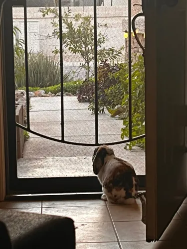 Faithful Focus Media icon