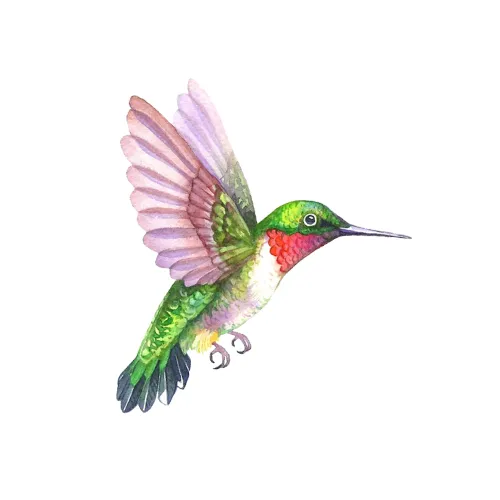 Transition Culture icon