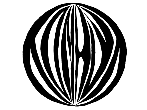tomhet icon