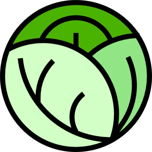 CodeCabbage icon