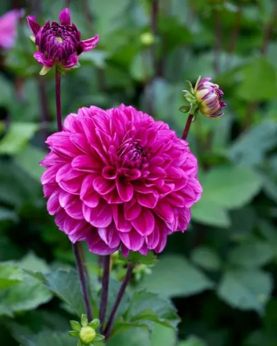 Got Me Thinking  icon