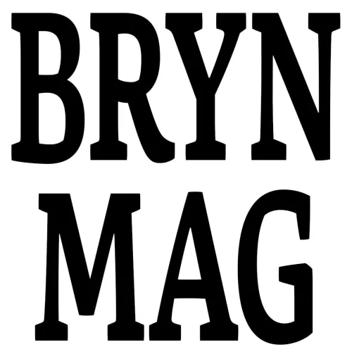 Bryn Mag icon