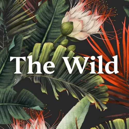 The Wild icon