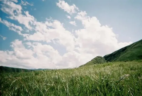 Close to Heaven. Down to Earth. icon