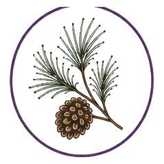 Cozy Pine icon