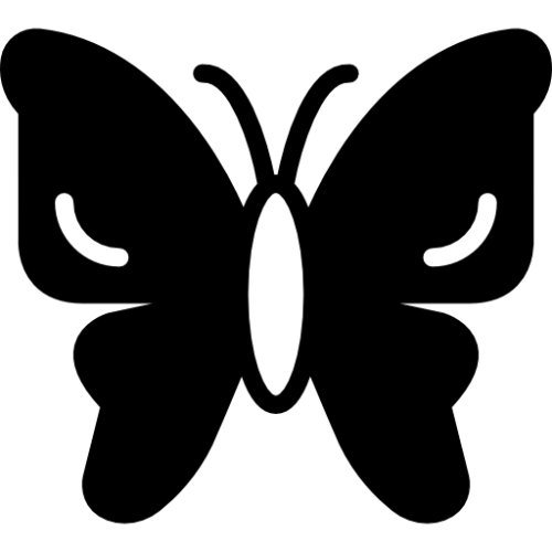 Mirrored Reflections icon