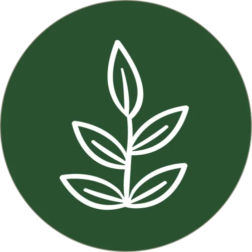 The VidaTravel Collective icon