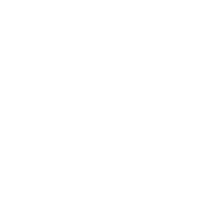 John F. Holliday icon