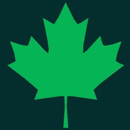 Selling Your Canadian Business icon