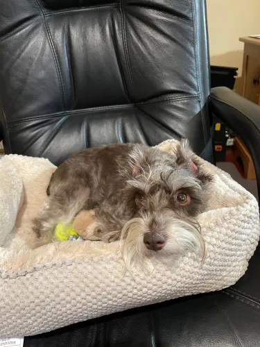 Driven Eats Healthy Streets icon