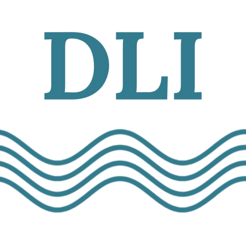 Decision Leadership Institute icon