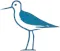 Murmuration Press icon