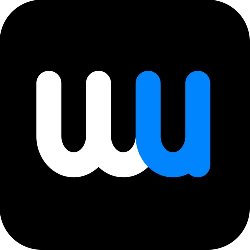 Wayne Wu icon