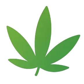 ChillActu : Actu CBD, bien-être & tendances alternatives icon