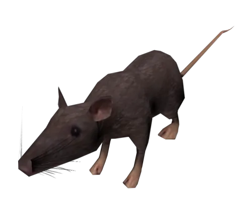 Rat Nose icon