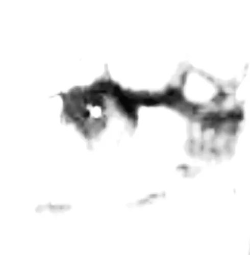 Bliss icon