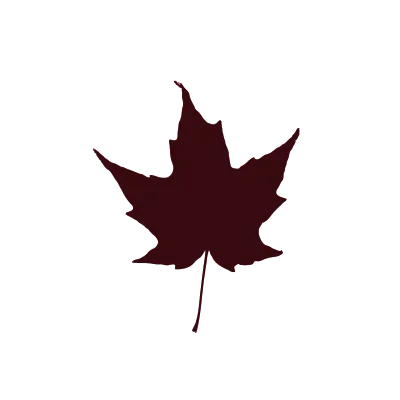 daun maple icon