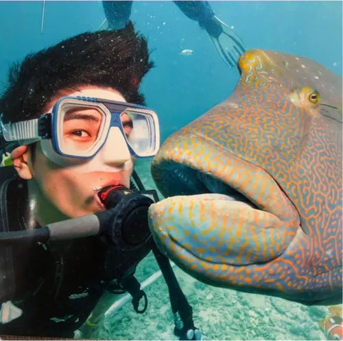 EnglishwithAaron icon