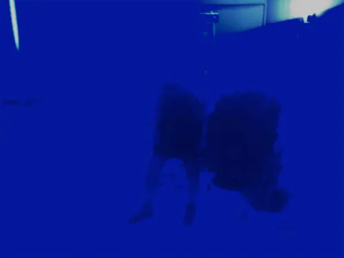 Emotional Attachments icon