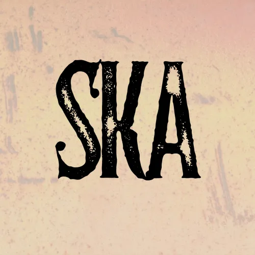 StillKruzn Arkansas icon