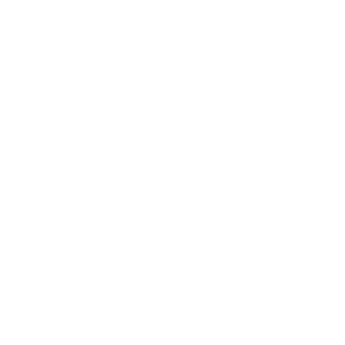 Slowsurf icon