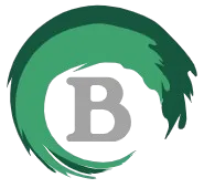 Binarius icon
