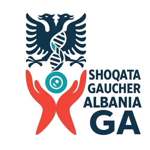 gaucheralbania.al icon