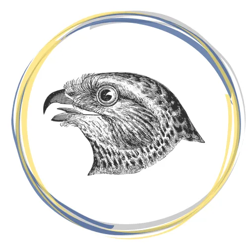 The Hawk icon