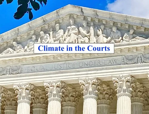 Climate in the Courts icon
