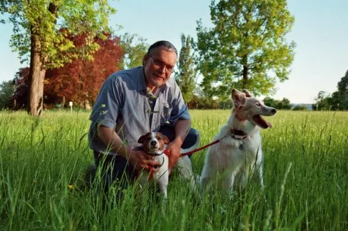 The Polzer Tree icon