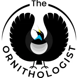 The Ornithologist icon