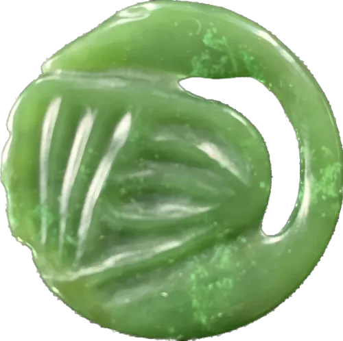 mindbodyevolution icon