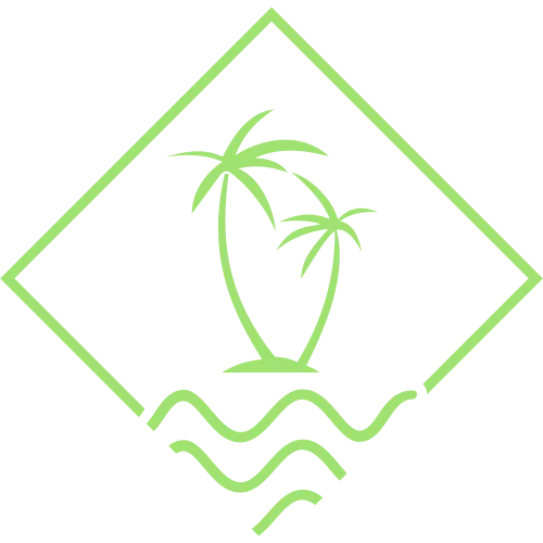 Vive Nosara icon