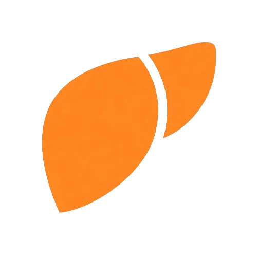 Fettleber icon