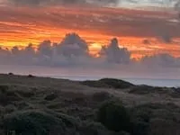 The Weather Feed icon