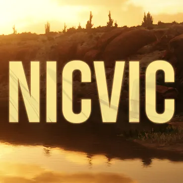 NicVic icon
