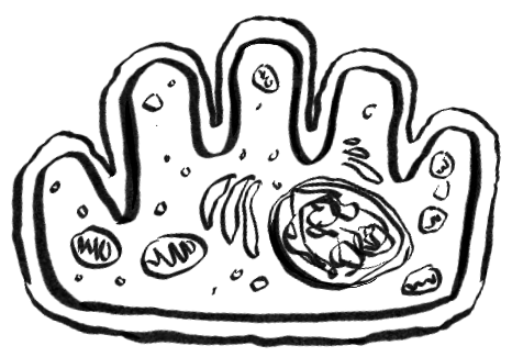 Sasquatch Paw icon