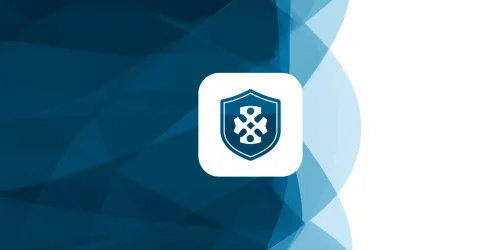 Border Cyber Group icon
