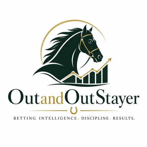www.outandoutstayer.com icon