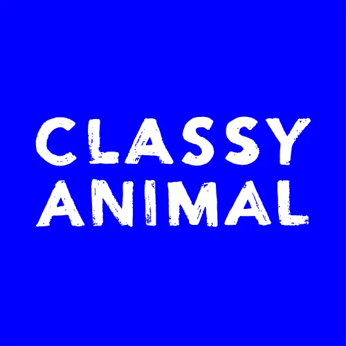 Classy Animal - by FMK Agency icon
