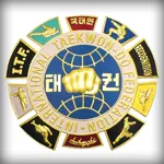 Strong Taekwon-Do icon