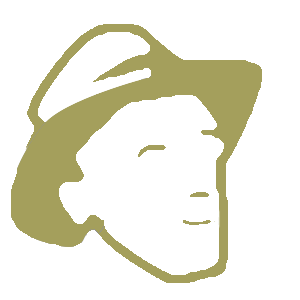 San Francisco Story icon