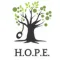 Hope After Concussion icon