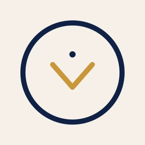VidaEase icon